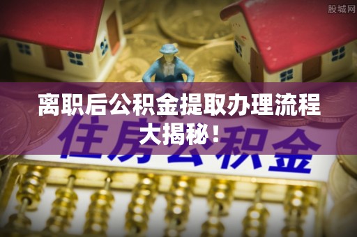 南阳离职后公积金提取办理流程大揭秘！